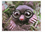 Moles hangout