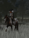 *River oak stables*