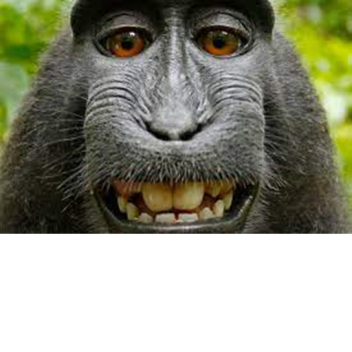 Big dino yummy frog frog frog