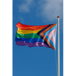 LGBTQ ally