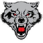 1st Special Operations Fighter Group