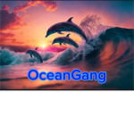 OceanShorts