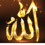 Allah(God)/Muslims