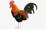 The Chicken Realm