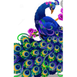 Peacock Fam