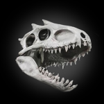 INDOMINIKUScz
