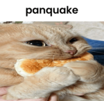 panquake :3