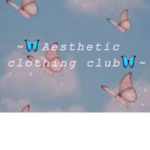 ~Aesthetic clothing in my store~