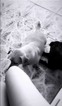 Wkittenx