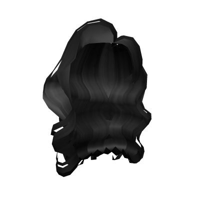 Black Curly Long Hair Roblox item