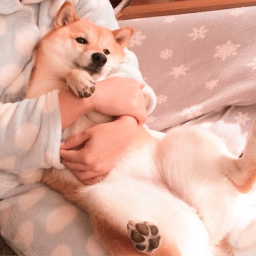 ✩