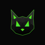 Boomcrazycat crazy gamessssss