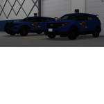 Michigan Law Enforcement Group