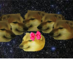 dogehood