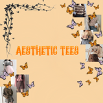 aesthetic tees || Raazia