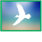 Woodpecker Clothing™