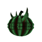 R37R0 Nation