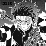 Cells.