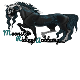 MoonStar Riding Acadamy Training