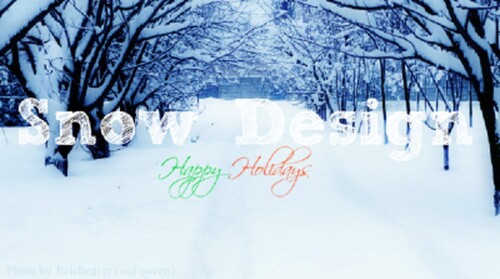 Snow Design Store V1