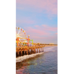 Seashore Paradise