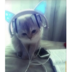 Ayko’s ɕℓσѕєт !