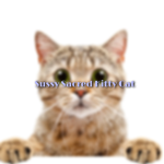 The Sussy sacred kitty cat