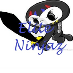 ELITE NINJAZ