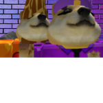 I DOGISTI