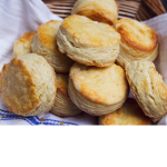 Moldy Biscuit
