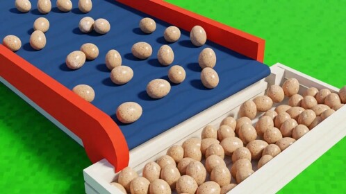 Egg Case Farm