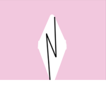 Nova fan's
