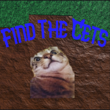 Find The Cets (50) [The End]