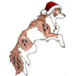 CoconutsWolf