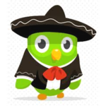 FIamingo fan cIub
