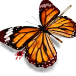 MonarchStudios
