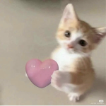 Cᴜᴛᴇ ᴘᴇᴏᴘʟᴇ