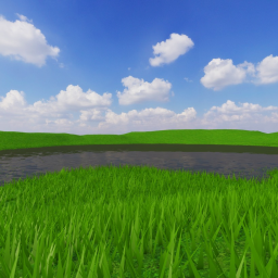 The Pond
