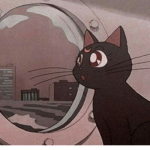 moonlit aesthetics