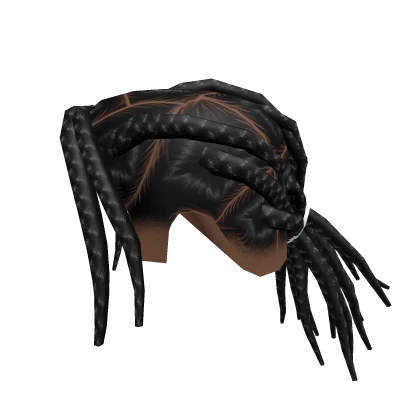 Roblox hair preview for Rocky Braids