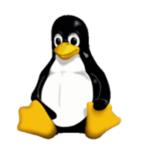 Linux System Group.