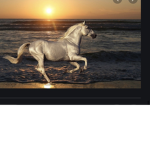 Crystals.horses