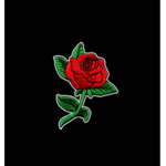 Bloxi Designs