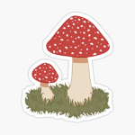 Mushroom gals <3