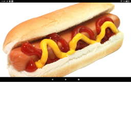 Hot Dogs ***'s Place Number: 1