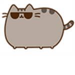 epik kittens