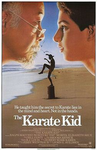 The best karate dojo in the world we will teach
