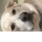 Skswnwnwuwnms,appakalQk2