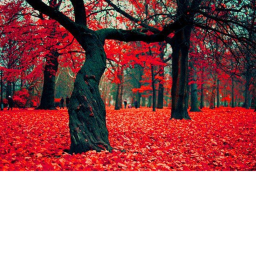 Crimson forest [OUTPOST UNITY]