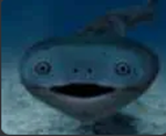 The corn eel
